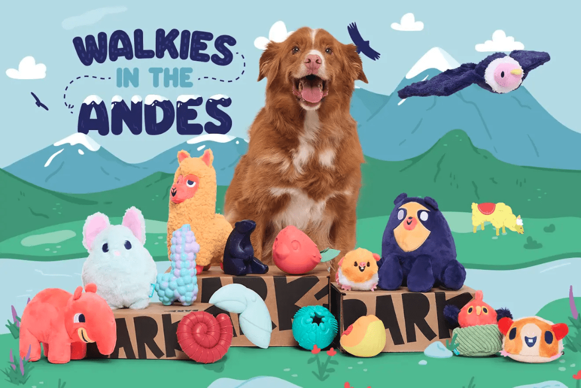 BARK agosto de 2024: Walkies nos Andes