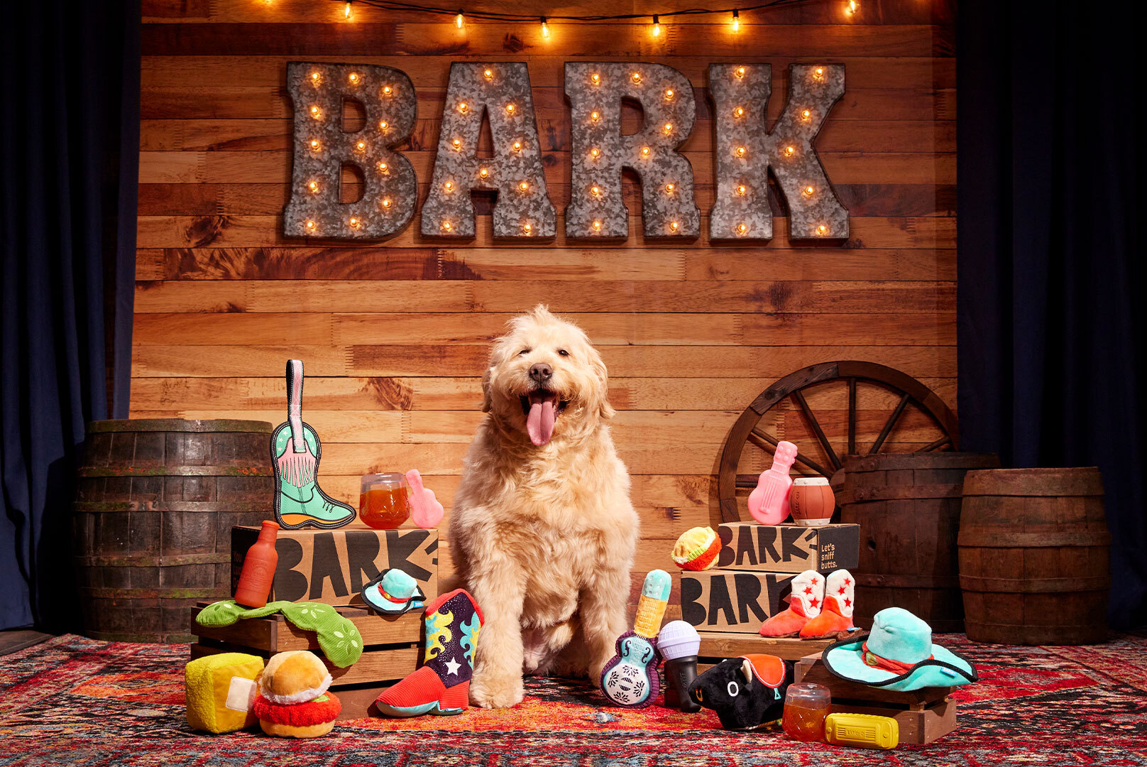 BARK, junho de 2024: Sente-se, Fique, Dia de Spa