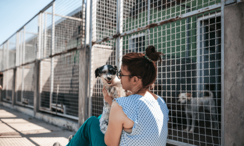 woman sitting in a shelter holding a dog