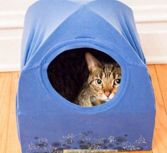 Como fazer DIY para acabar com sua vida cheia de gatos |