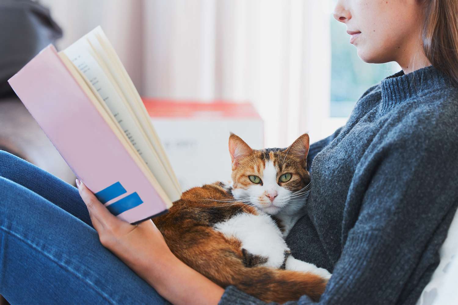 Um guia completo para entender as características únicas do seu felino