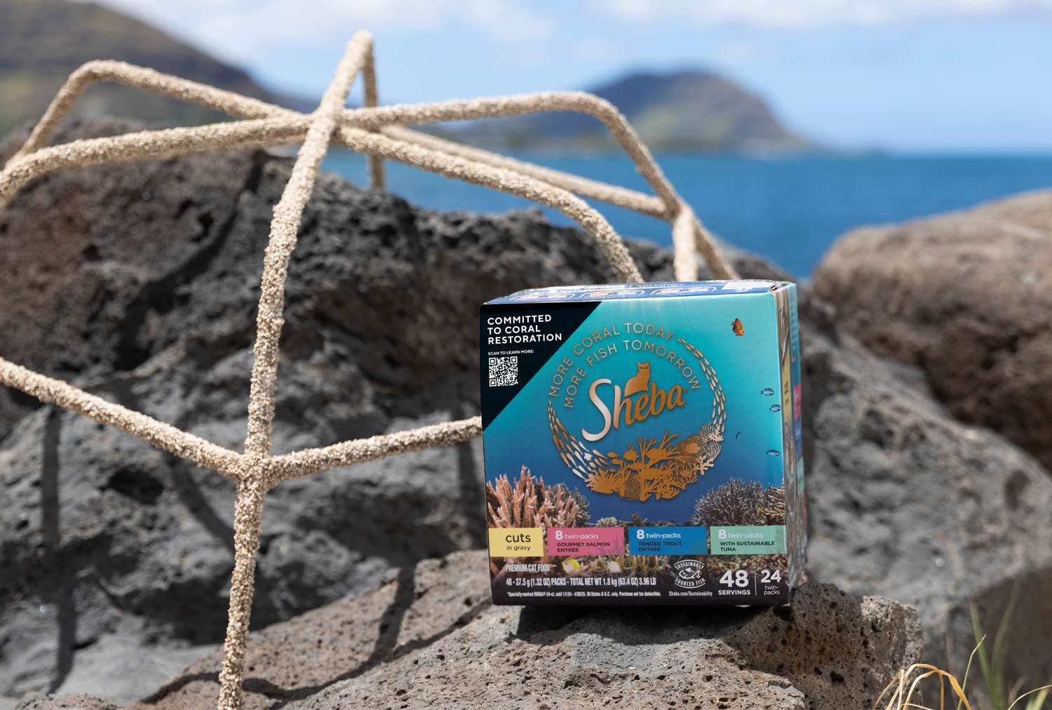 Esta marca de comida de gato está tentando salvar o oceano - um recife de coral em um momento