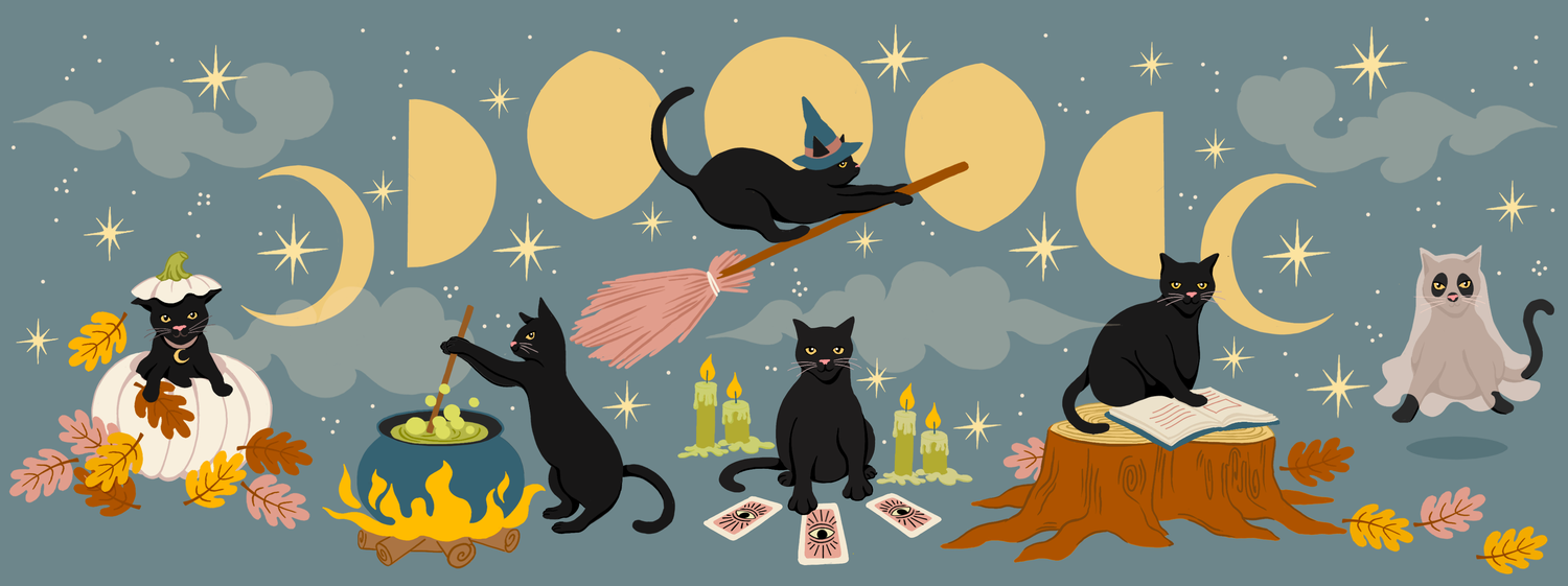 The Black Cat Magic Special Edition